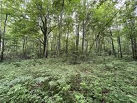 40 acre TRYBA ROAD, Hatley, WI 54440