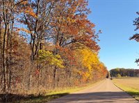 40 acre TRYBA ROAD, Hatley, WI 54440