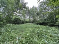 40 acre TRYBA ROAD, Hatley, WI 54440