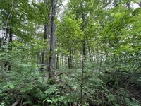 40 acre TRYBA ROAD, Hatley, WI 54440