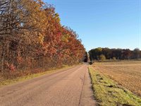 40 acre TRYBA ROAD, Hatley, WI 54440