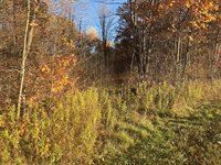 40 acre TRYBA ROAD, Hatley, WI 54440