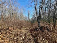 40 acre TRYBA ROAD, Hatley, WI 54440
