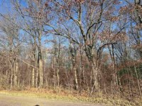40 acre TRYBA ROAD, Hatley, WI 54440