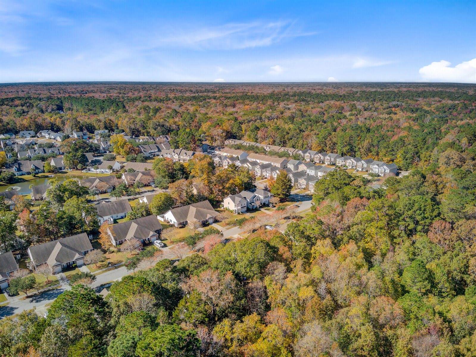 191 Larissa Drive, Charleston, SC 29414