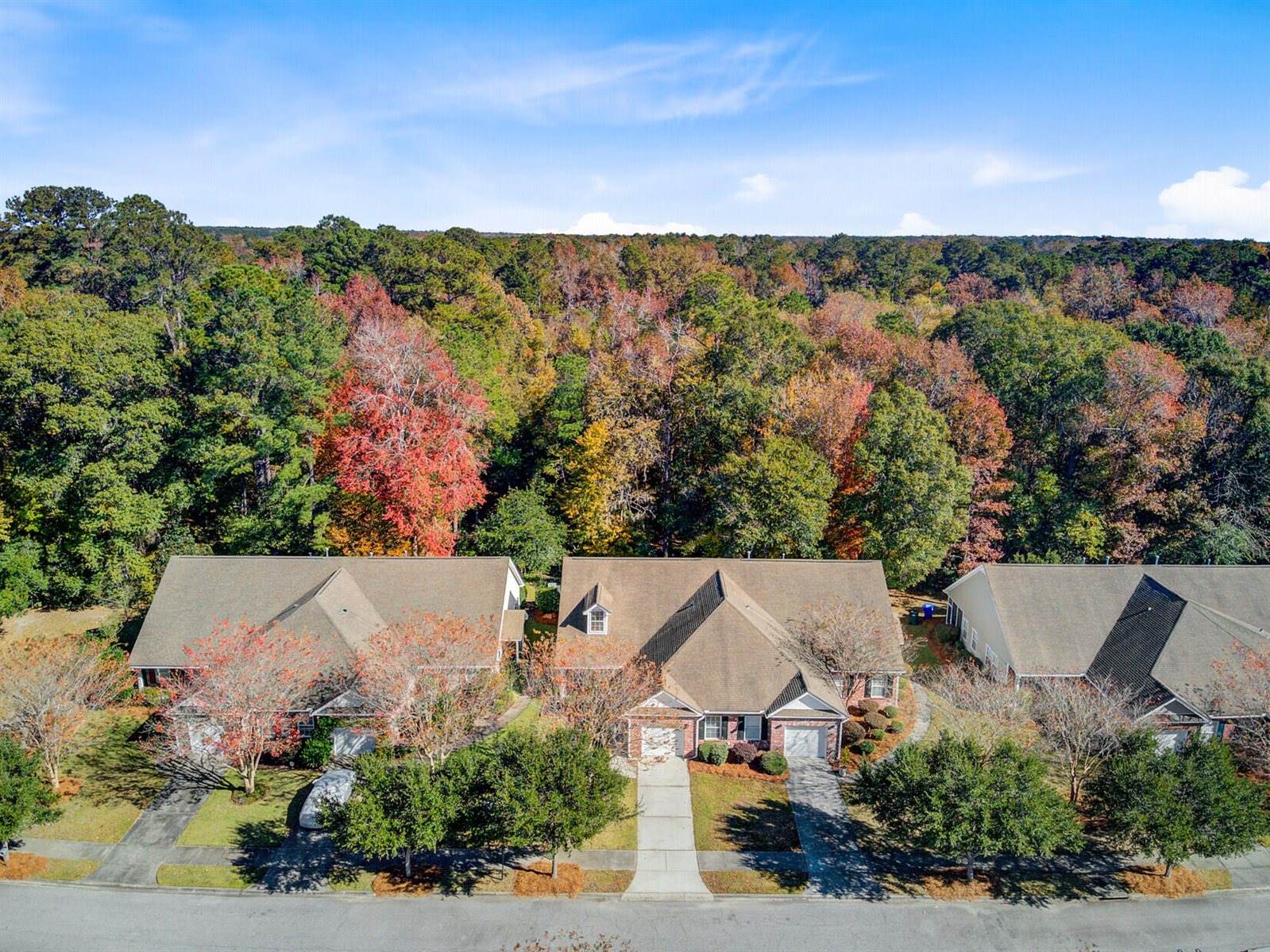 191 Larissa Drive, Charleston, SC 29414