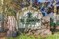 191 Larissa Drive, Charleston, SC 29414