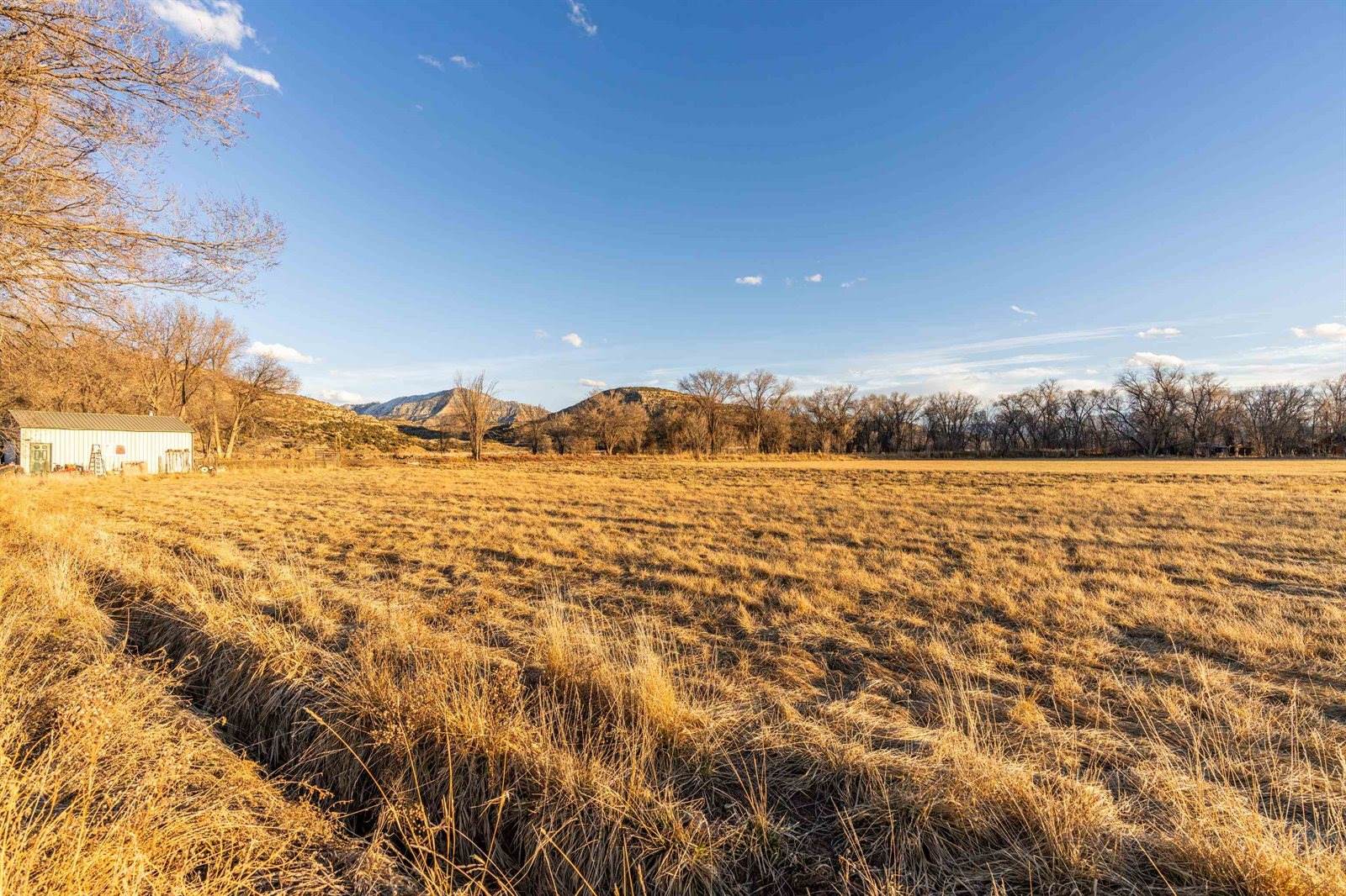 2164 45 1/2 Road, De Beque, CO 81630