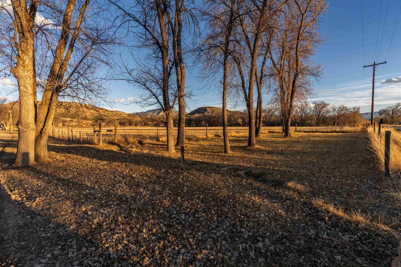 2164 45 1/2 Road, De Beque, CO 81630