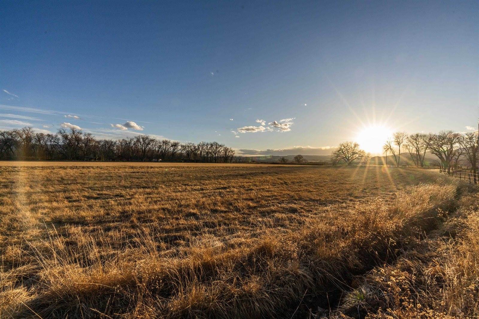 2164 45 1/2 Road, De Beque, CO 81630