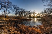 2164 45 1/2 Road, De Beque, CO 81630