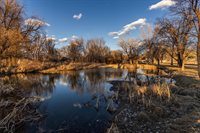 2164 45 1/2 Road, De Beque, CO 81630