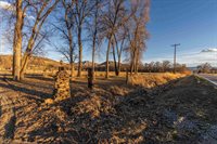 2164 45 1/2 Road, De Beque, CO 81630