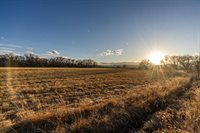 2164 45 1/2 Road, De Beque, CO 81630