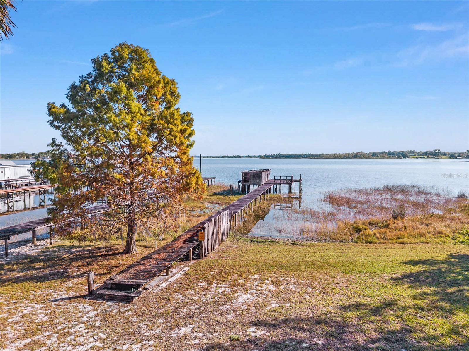 15885 SE 105TH Terrace, Summerfield, FL 34491