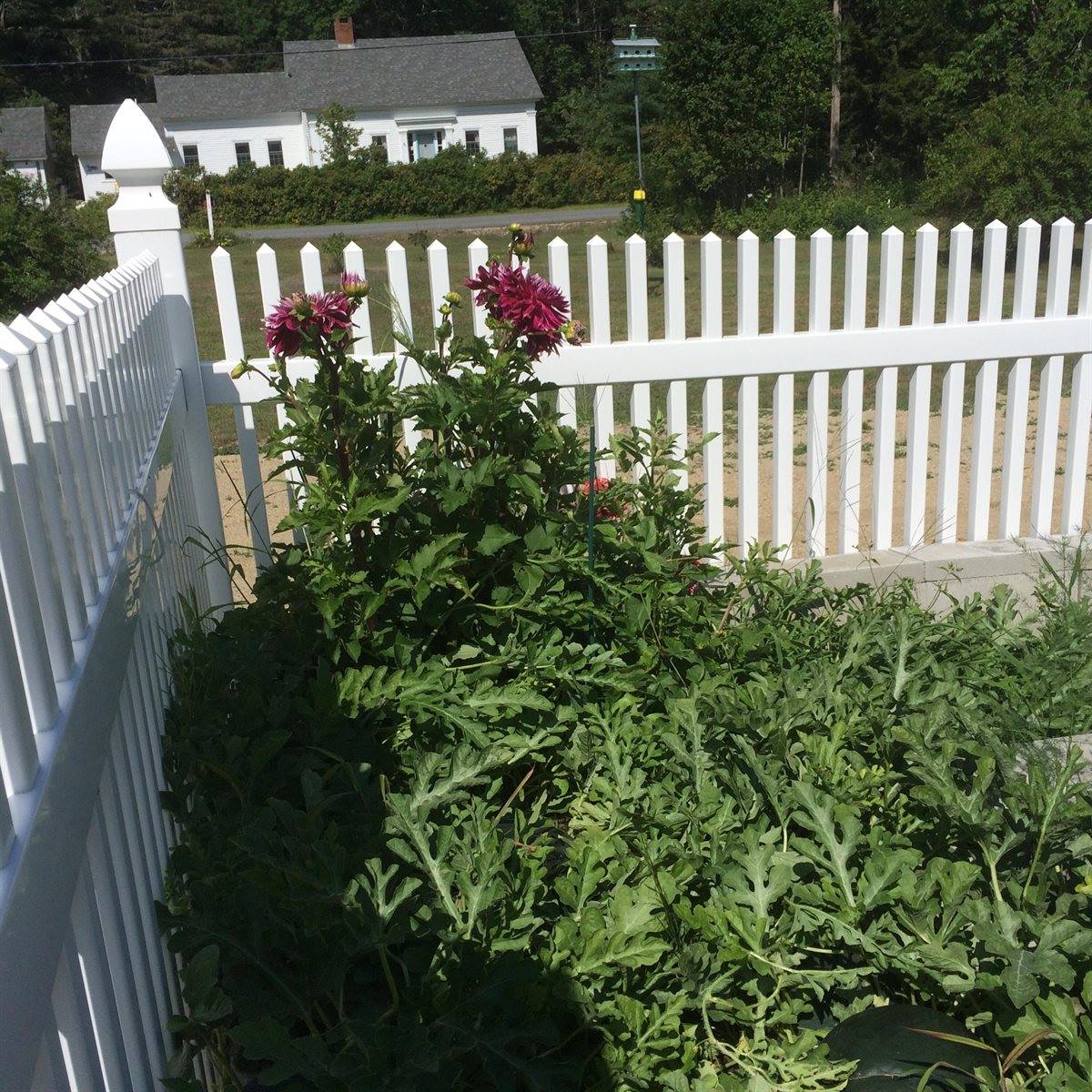 661 Herrick Road, Sedgwick, ME 04673