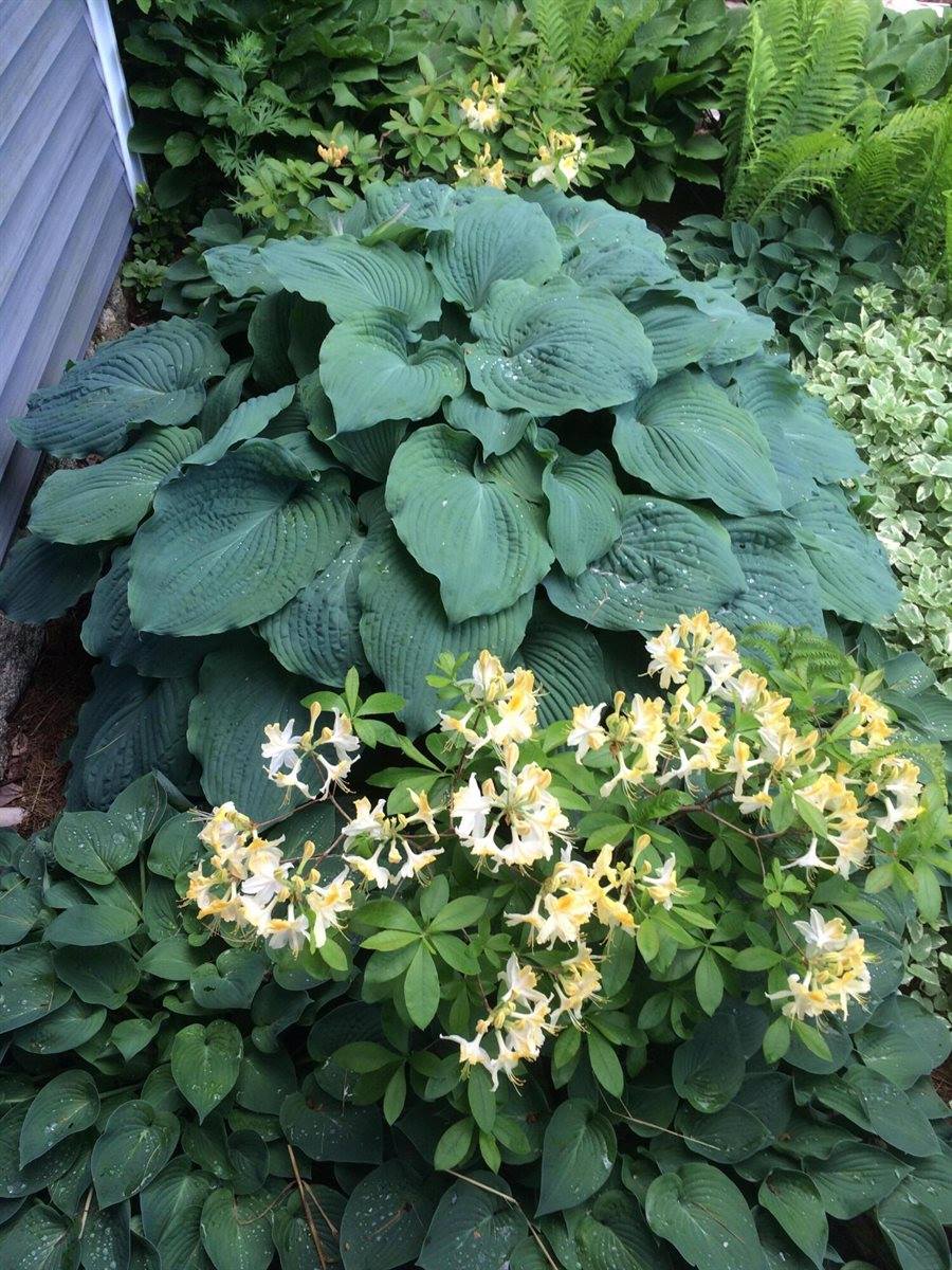 661 Herrick Road, Sedgwick, ME 04673