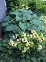 661 Herrick Road, Sedgwick, ME 04673