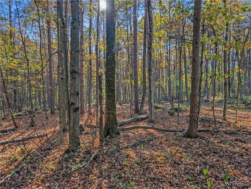 00 Pee Dee Road, Wethersfield, NY 14024