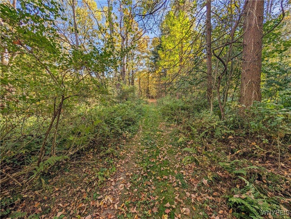 00 Pee Dee Road, Wethersfield, NY 14024