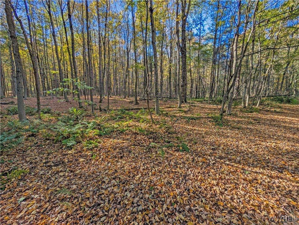 00 Pee Dee Road, Wethersfield, NY 14024