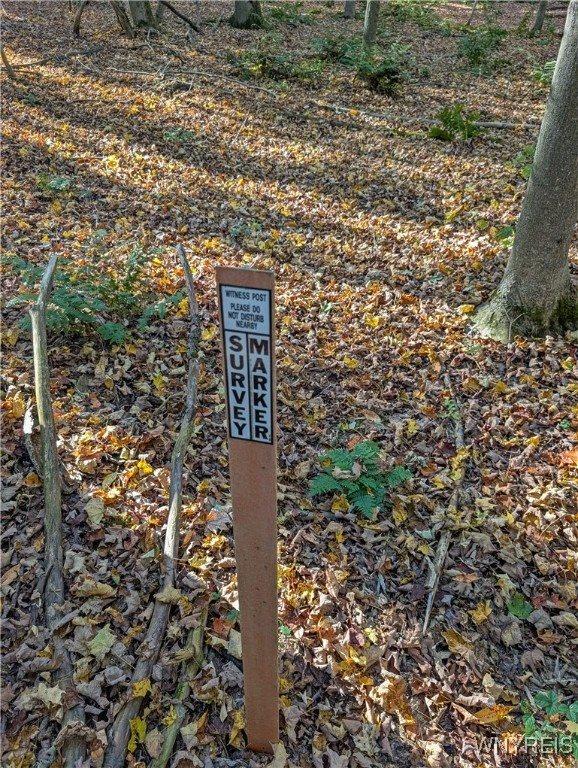 00 Pee Dee Road, Wethersfield, NY 14024