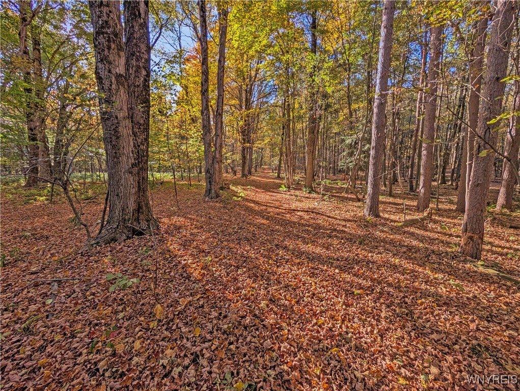 00 Pee Dee Road, Wethersfield, NY 14024