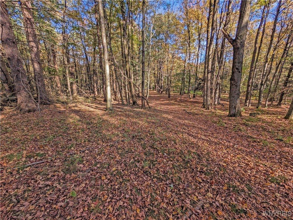 00 Pee Dee Road, Wethersfield, NY 14024