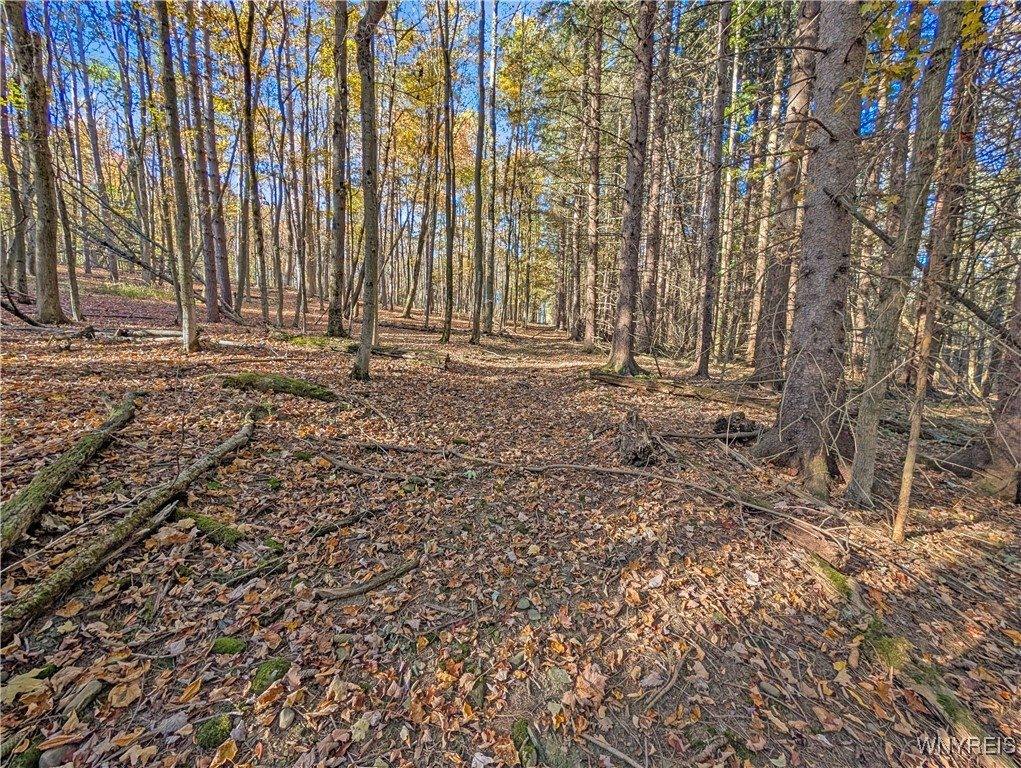 00 Pee Dee Road, Wethersfield, NY 14024