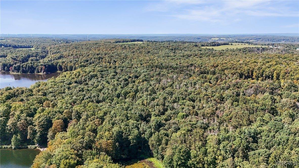 00 Pee Dee Road, Wethersfield, NY 14024