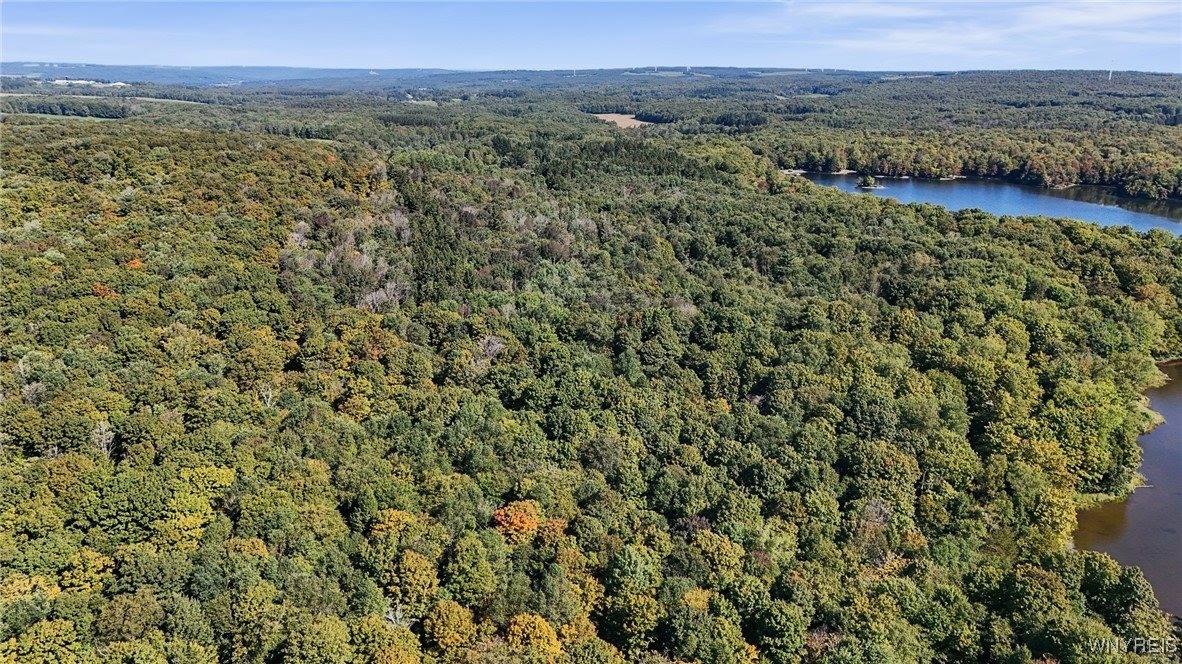 00 Pee Dee Road, Wethersfield, NY 14024