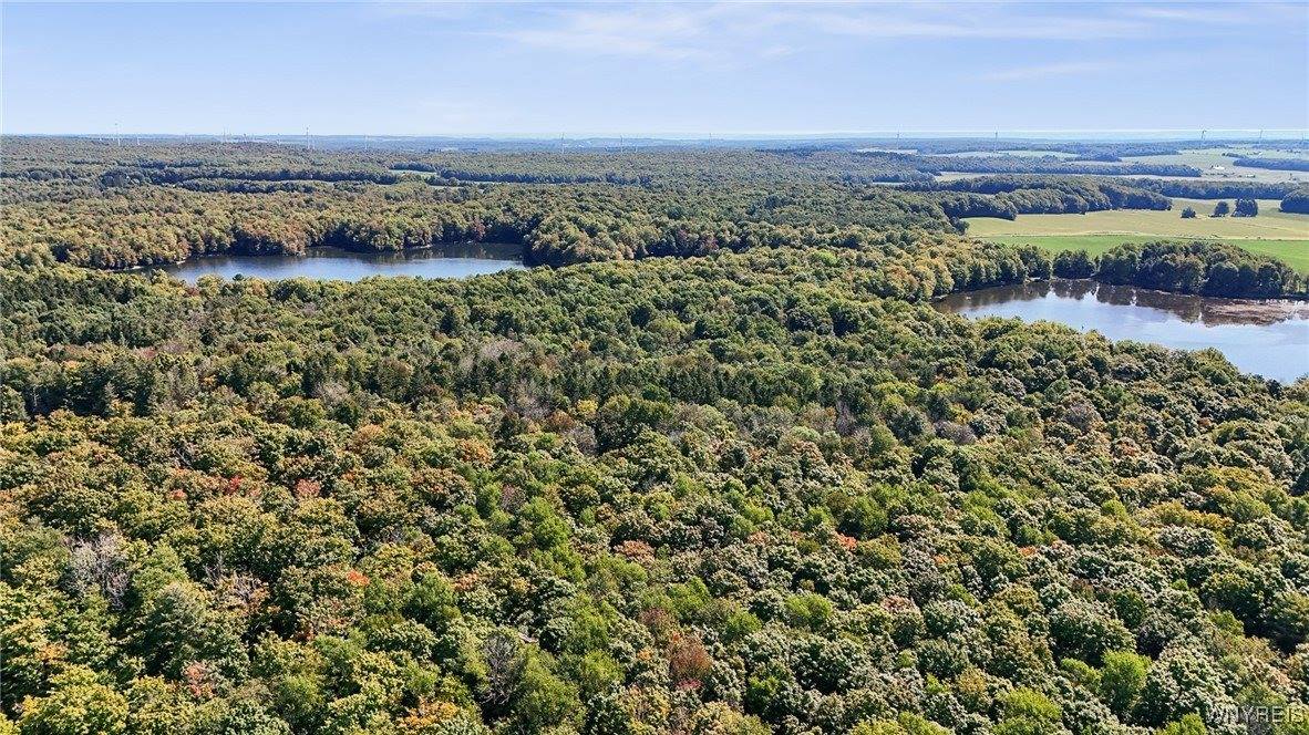 00 Pee Dee Road, Wethersfield, NY 14024