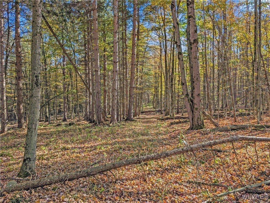 00 Pee Dee Road, Wethersfield, NY 14024