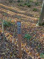 00 Pee Dee Road, Wethersfield, NY 14024