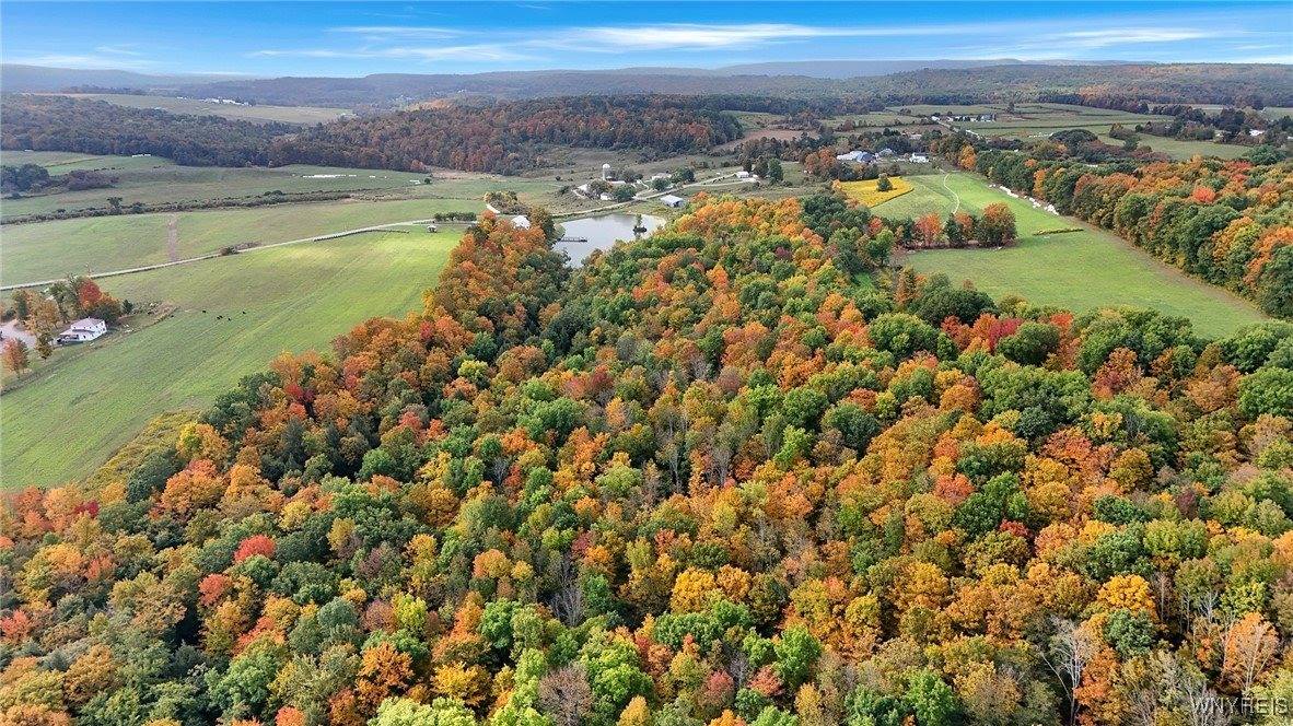 8246 Ballard Road, Centerville, NY 14735