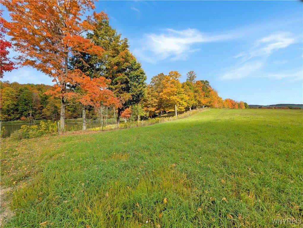 8246 Ballard Road, Centerville, NY 14735