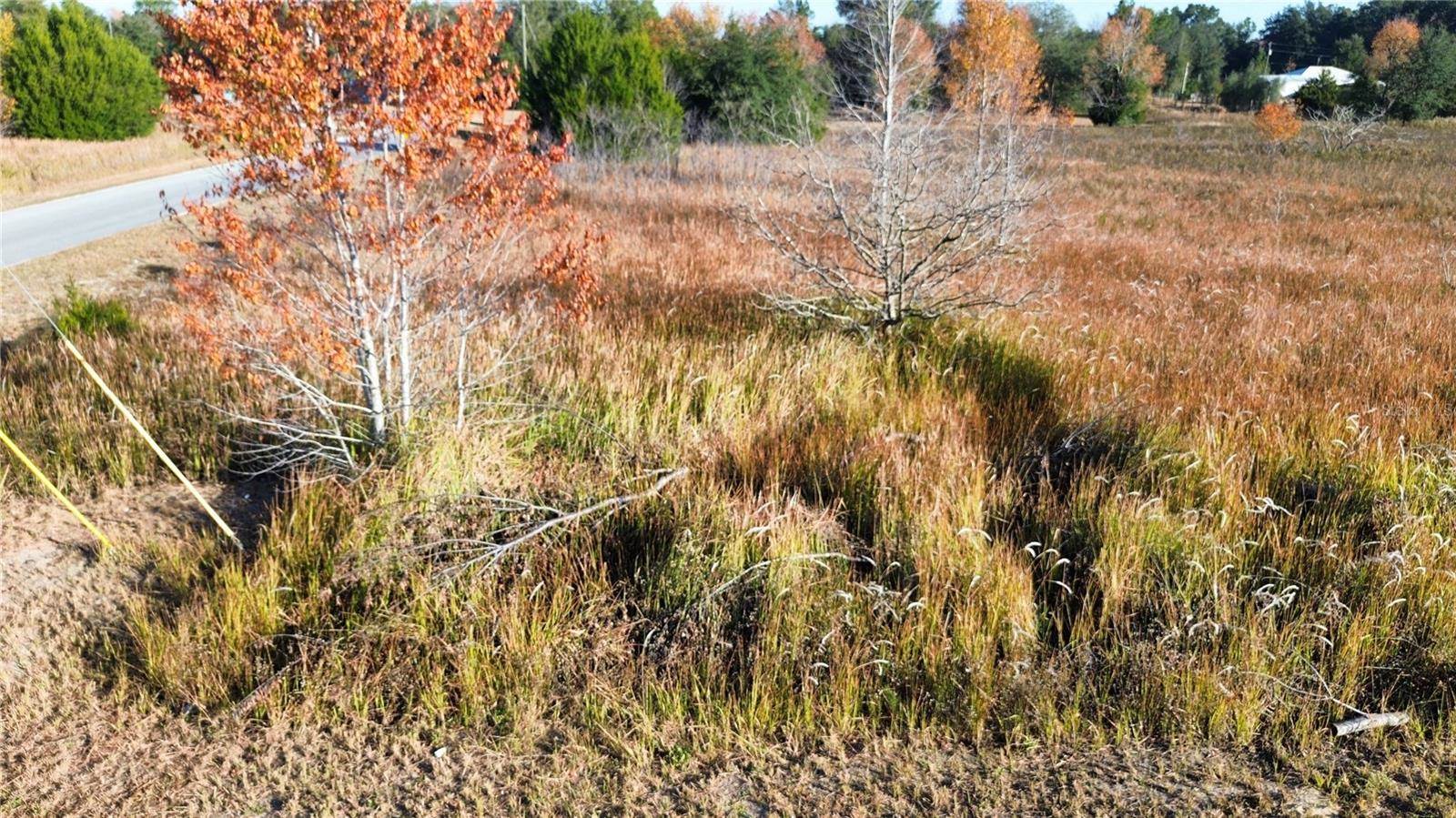 0 Sw 32nd Place, Ocala, FL 34481