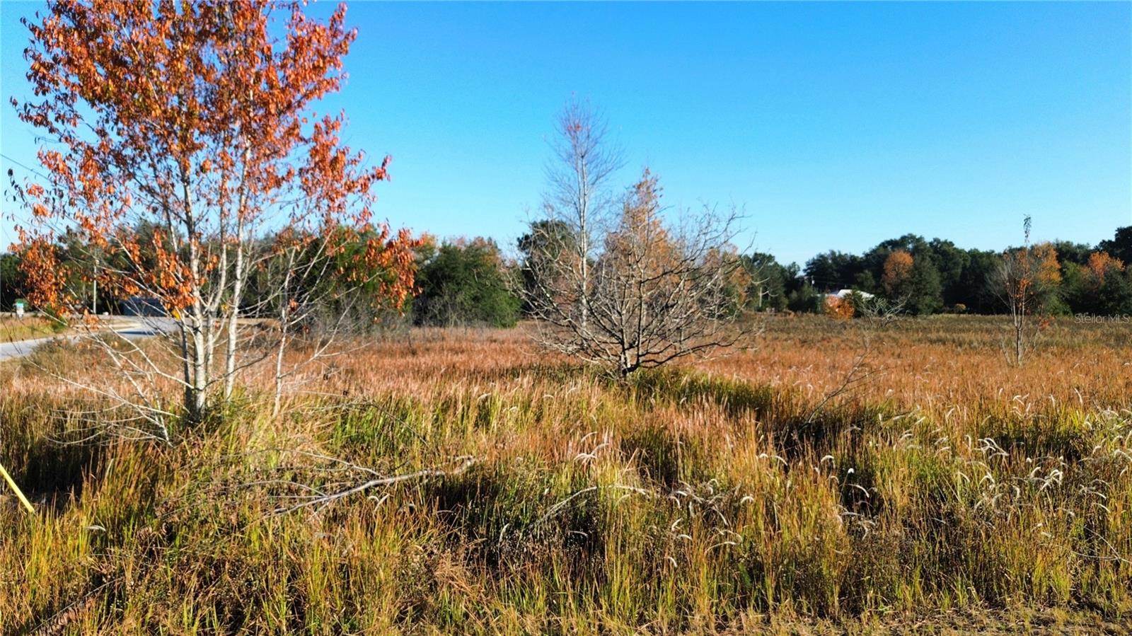 0 Sw 32nd Place, Ocala, FL 34481