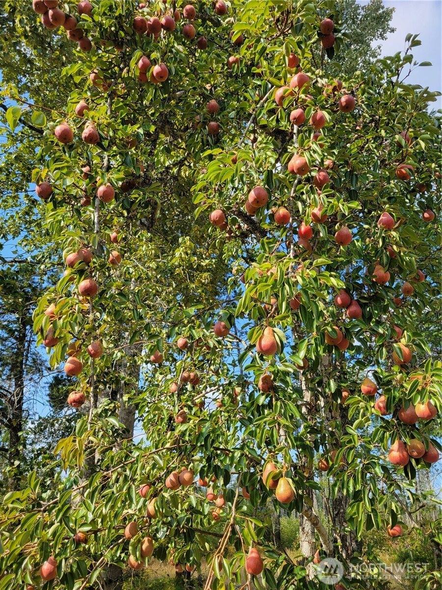 16314 160th Street NW, Gig Harbor, WA 98329