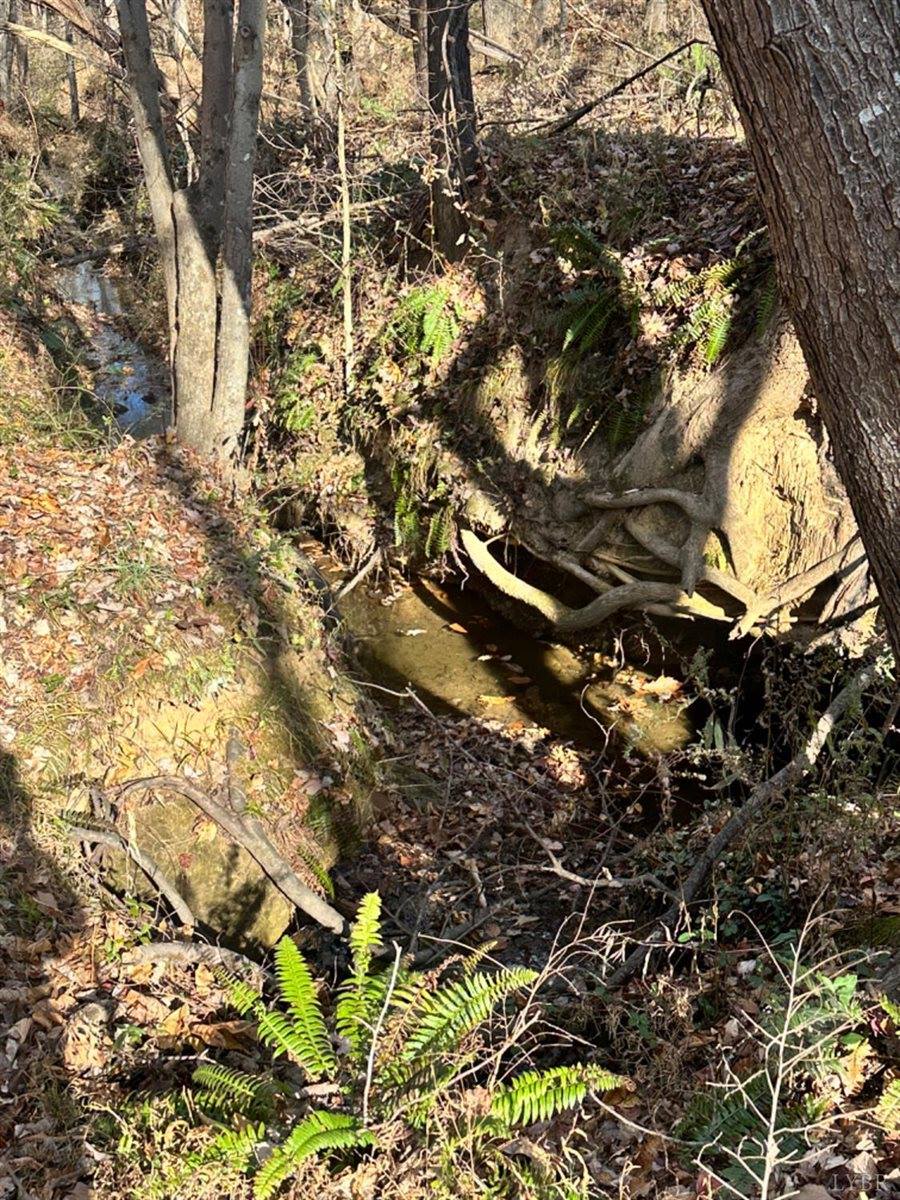 0 Lot 2B Police Tower Rd, Appomattox, VA 24522