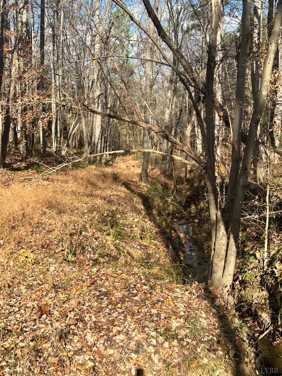 0 Lot 2B Police Tower Rd, Appomattox, VA 24522