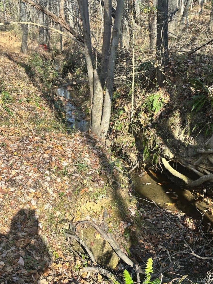 0 Lot 2B Police Tower Rd, Appomattox, VA 24522