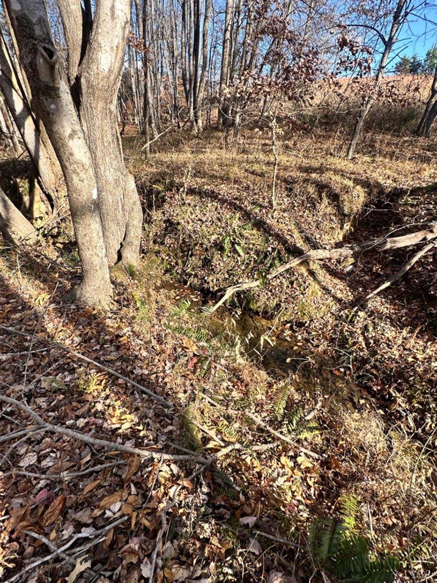 0 Lot 2B Police Tower Rd, Appomattox, VA 24522