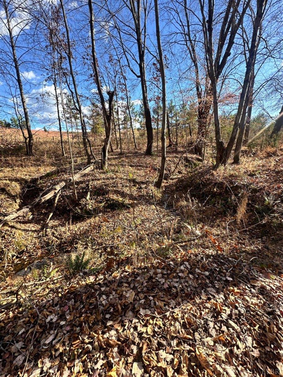 0 Lot 2B Police Tower Rd, Appomattox, VA 24522