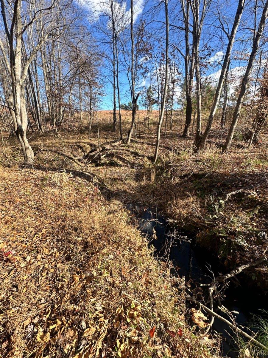 0 Lot 2B Police Tower Rd, Appomattox, VA 24522