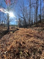 0 Lot 2B Police Tower Rd, Appomattox, VA 24522