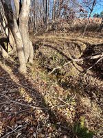 0 Lot 2B Police Tower Rd, Appomattox, VA 24522