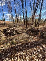 0 Lot 2B Police Tower Rd, Appomattox, VA 24522