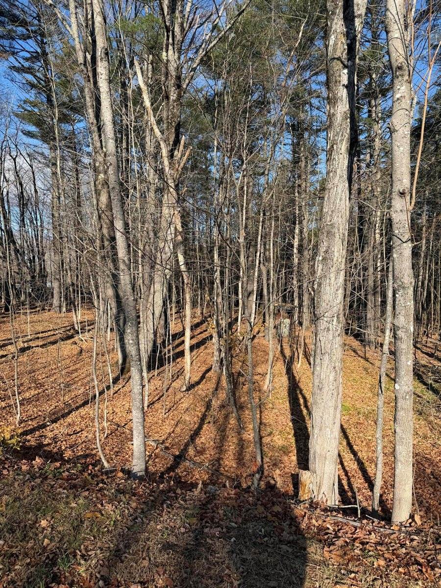 M39L26 Pine Street, Dover-Foxcroft, ME 04426