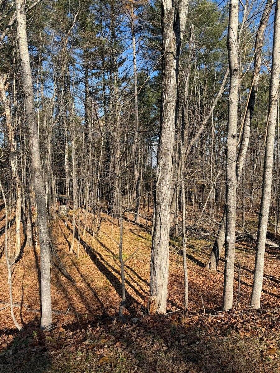 M39L26 Pine Street, Dover-Foxcroft, ME 04426